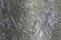 Seaview fibreglass roof work